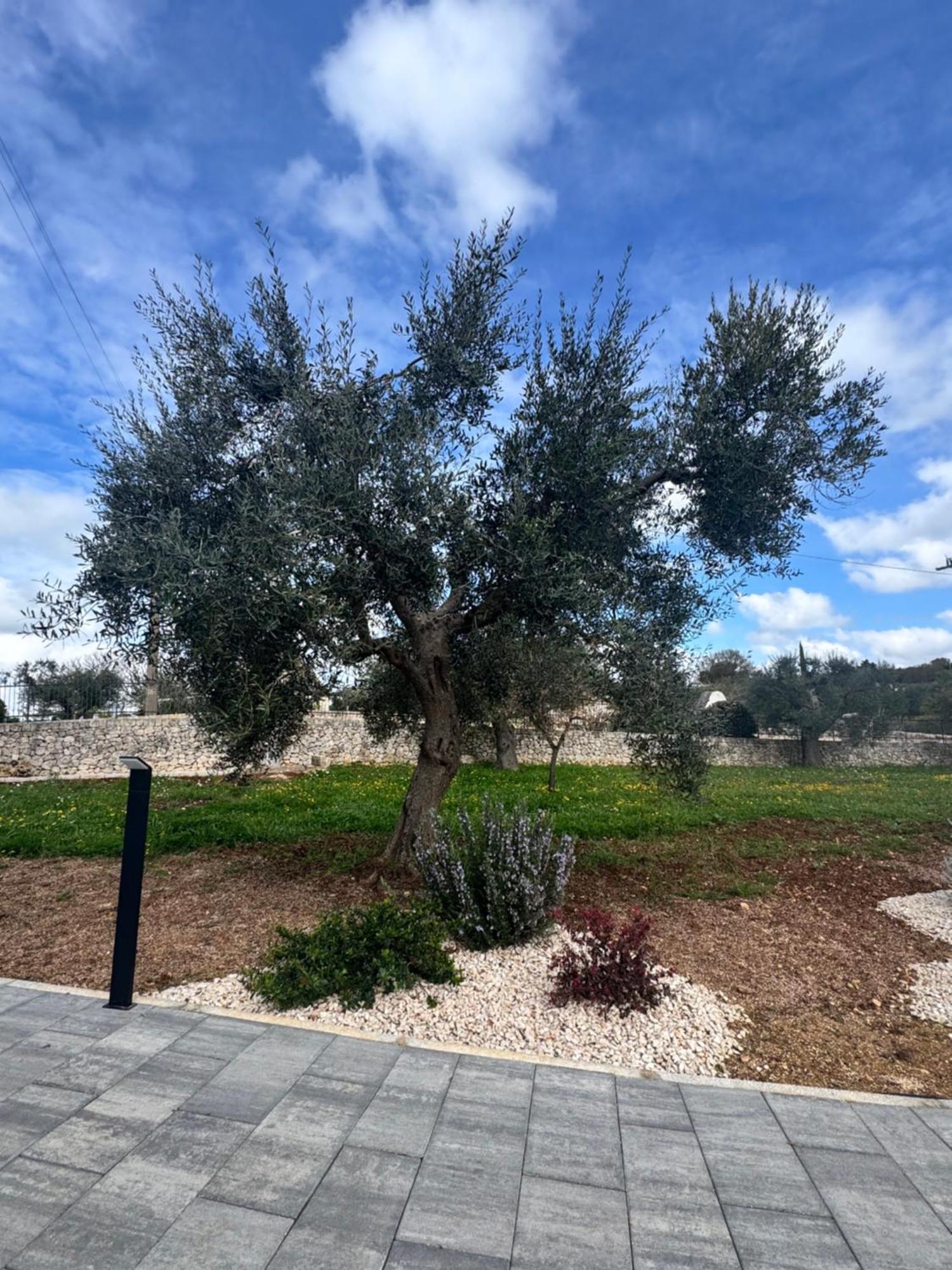Alberobbe Luxury Rooms Alberobello Exterior photo